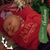Holly Lynn Palmer Wright's profile image