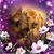 Debbie Hetherington's profile image