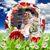 Raquel Meulener's profile image