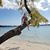 RobertAaron Seivertson's profile image