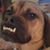 Sean Boggs's profile image