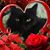 Michelle Jolley's profile image