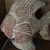 Jeanette Lindemann Evans's profile image