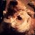 Bud Cyr's profile image