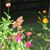 Jodi Kinney's profile image