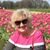 Hilda Horvath's profile image