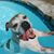 Bentley Nelson's profile image