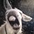 Michael E Richardson's profile image