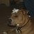 Shana Walker's profile image
