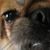 Matt Gallant's profile image
