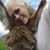 Lisabeth Nadine Moore's profile image