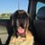Thomas Perry Jr.'s profile image