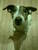Jeffrey W.'s profile image