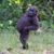 Chris Shore Miller's profile image