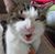 Simon Joseph's profile image