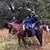 Amanda Sanford Amundson's profile image