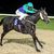 Mark Ollier's profile image