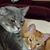 Carol J. Halley Wilson's profile image
