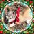 Lynn Kuhnel's profile image