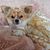Shirley Friis's profile image