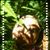 Serene Love's profile image