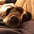 Doris Purvis's profile image