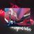Mario Leiva Brenes's profile image
