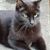 Kaz Zuke's profile image