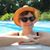 Julie Krause's profile image