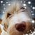 Ann Bagnell's profile image