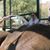 Michelle L. Williams's profile image