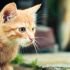 Miriam P.'s profile image