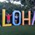 Conrad Topacio's profile image
