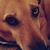 Blu Allen's profile image