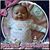 Lynn Malloy Heffelfinger's profile image