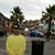 Miguel Navarrette's profile image