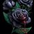 Robert Weddell's profile image