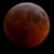 Bob Ensign's profile image