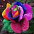 Jeanenne Petree's profile image