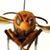 Tom Casey's profile image