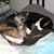 Rea Diane Anderson Kemble's profile image