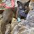 Sharon Sue's profile image
