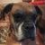 John David Blackwelder's profile image