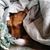 Heather Wielebski's profile image