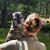 Brittney Smith Rivers's profile image