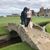 Gudrun David's profile image