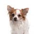 marilee b.'s profile image