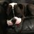Kitty Gallanis's profile image
