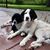 Mary Beth Bord's profile image