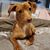 Karla Michelle Jackson's profile image
